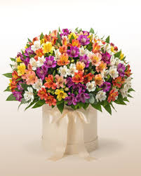 Envio y venta de flores ,rosas, plantas,arreglos florales ,regalos y desayunos a domicilio con delivery gratis en la Ciudad Autonoma de Buenos Aires y con costo de env�o en localidades del Gran Buenos Aires asi como delivery de flores y plantas a trav�s de florerias asociadas en todas las provincias de la Argentina, Buenos Aires, la Pampa, Tucuman, La Rioja, R�o Negro, Entre Rios, Corrientes, Misiones, Neuquen, Chubut, Tierra del Fuego, Santa Cruz, San Luis, Mendoza, Cordoba, Jujuy, Formosa, Santiago del Estero, Salta, Chaco, Catamarca ,San Juan, y ademas realizamos el delivery de flores ,coronas,palmas , plantas y regalos a todas las ciudades de Argentina, Mar del Plata, C�rdoba, Buenos Aires, con cargo en Santa Rosa, La Plata, Bella Vista, Neuquen, Pilar, Paran�, Posadas, Resistencia, Cipolleti y mas de 300 ciudades y localidades en todo el territorio de nuestro pa�s, asi como tambien tenemos la posibilidad de enviar flores a casi todo el mundo en cuestion de horas